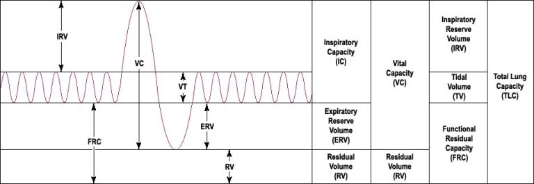 What Are Normal Values For Spirometry Test Results